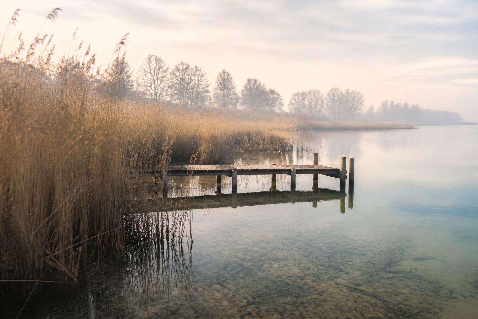Ruhiger Bodden mit Schilfgürtel und flachem Wasser unter nordischem Himmel