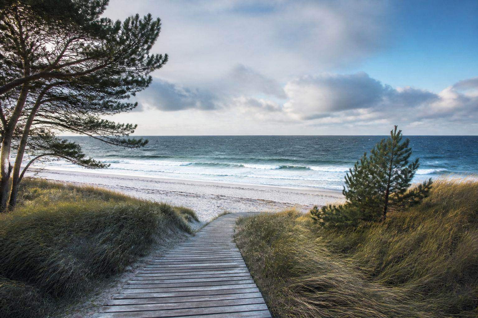 Holzsteg durch Dünen zum wilden Ostseestrand mit Kiefern und nordlichem Himmel
