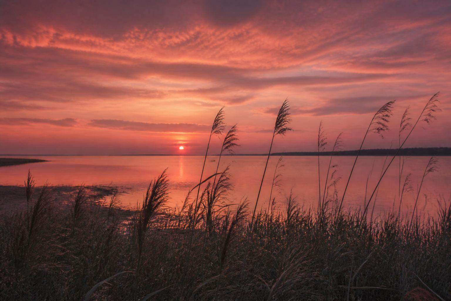 Abendlicht über dem Strand und Horizont bei Zingst